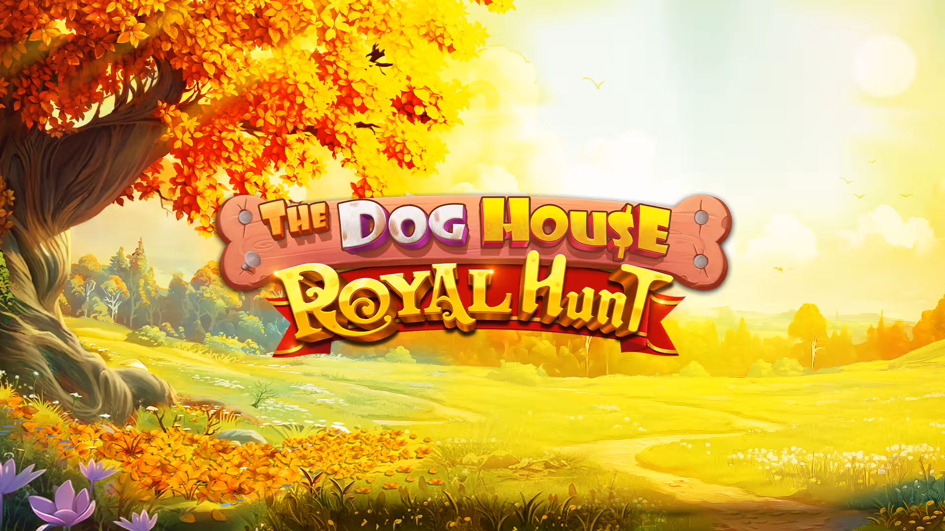 The Dog House Royal Hunt
